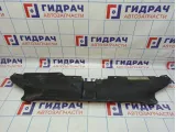 Кожух замка капота Audi A4 (B8) 8K0807081B