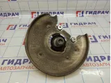 Кулак поворотный задний левый Audi A4 (B8) 8K0505431AP