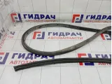 Уплотнитель двери передней левой Audi A5 8T0845353E