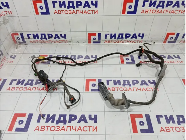 Проводка двери передней левой Audi A5 8T0971029G