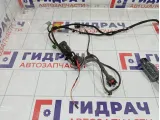 Проводка двери передней левой Audi A5 8T0971029G