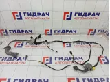 Проводка двери передней правой Audi A5 8T0971030G