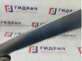 Накладка двери передняя левая Audi A5 8T0867409AY27