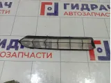 Сетка воздуховода Audi A5 8K0129054