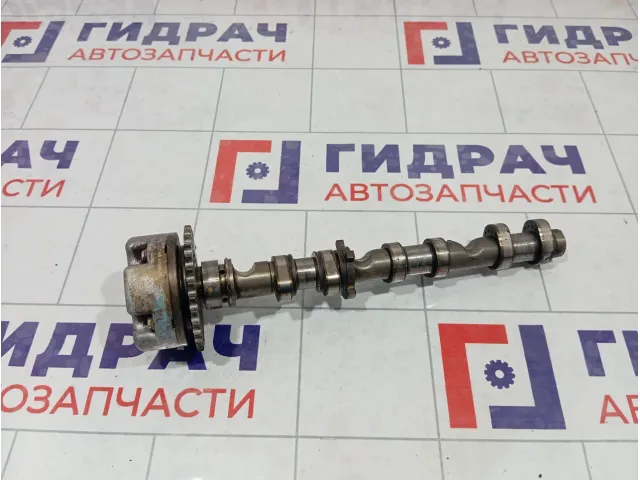 Распредвал выпускной Audi A5 06E109102BA