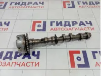 Распредвал выпускной Audi A5 06E109102AT