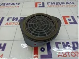 Динамик Audi A5 8T0035411A