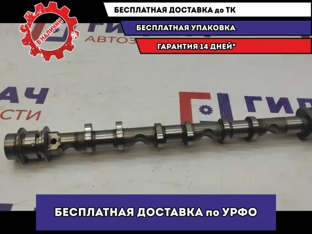 Распредвал впускной Audi A6 06E109101BG.