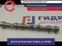 Распредвал выпускной Audi A6 06E109102BF.