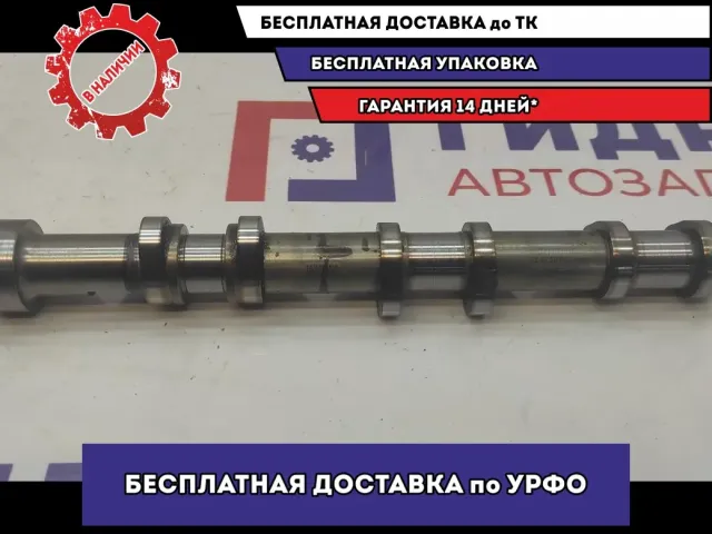 Распредвал выпускной Audi A6 06E109102BG.