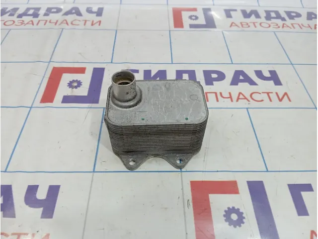 Радиатор масляный Audi A6 (C7) 06J117021J