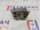 Радиатор масляный Audi A6 (C7) 06J117021J