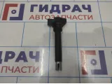 Катушка зажигания Audi A6 (C7) 06H905115B