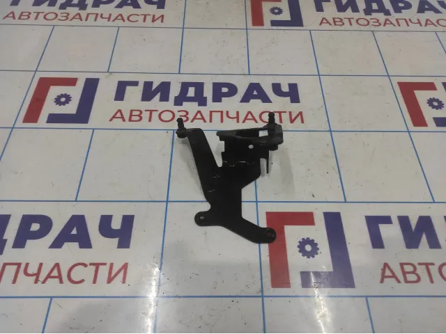 Кронштейн Audi A6 (C7) 4G0820195E