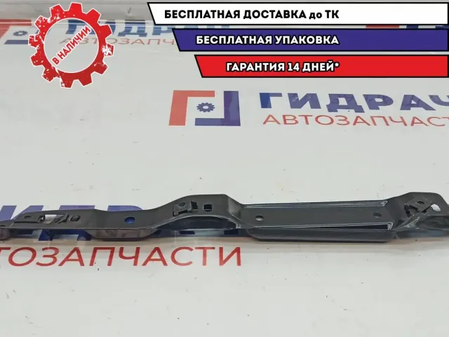 Кронштейн потолочной ручки Audi A8 4E0809585C. Задний левый.