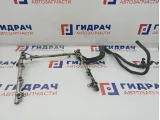 Рейка топливная Audi A8 077133681AA.