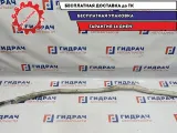 Подушка безопасности боковая (шторка) левая Audi A8 4E0880741.