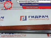 Накладка обшивки двери передней левой Audi A8 4E0867409C.