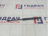 Амортизатор капота Audi Q5 (8R) 8R0823359A