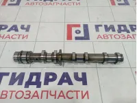 Распредвал выпускной левый Audi Q5 (8R) 06E109102BA