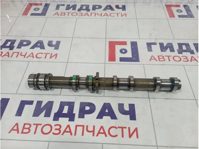 Распредвал выпускной правый Audi Q5 (8R) 06E109102AT