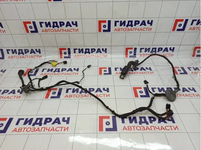 Проводка двери передней левой Audi Q5 (8R) 8R0971029F