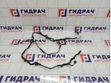 Проводка двери передней левой Audi Q5 (8R) 8R0971035C