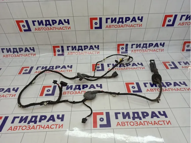 Проводка двери передней правой Audi Q5 (8R) 8R0971030F