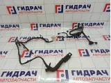 Проводка двери задней правой Audi Q5 (8R) 8R0971687G
