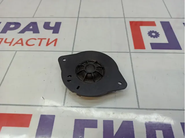 Динамик в торпедо Audi Q5 (8R) 8R0035399