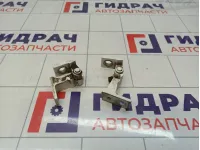 Петли двери задней левой Audi Q5 (8R)