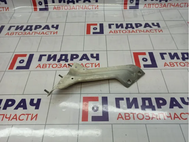 Кронштейн крепления крыла переднего левого Audi Q5 (8R) 8R0821135