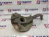 Кулак поворотный передний левый Audi Q5 (8R) 8K0407253R