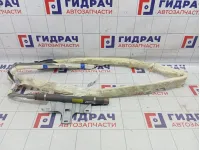 Подушка безопасности боковая (шторка) правая Audi Q7 (4L) 4L0880742A