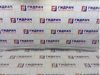 Рейлинг левый Audi Q7 (4L) 4L0860021N2ZZ