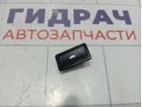 Кнопка открывания багажника Audi Q7 3D0959831D20H