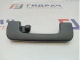 Ручка внутренняя потолочная задняя левая Audi Q7 8P0857607L4PK.