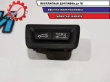 Кнопка открывания багажника BMW 5 GT 2010 61319194912 Отличное состояние