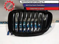 Решетка радиатора левая BMW 5 GT 2010 51137202109 Отличное состояние