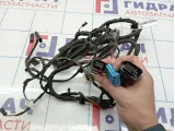 Проводка двери задняя левая BMW 5 GT.