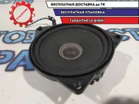 Динамик  BMW 1 E87 65139141494.