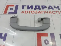 Ручка внутренняя потолочная BMW 1-Series (E87)