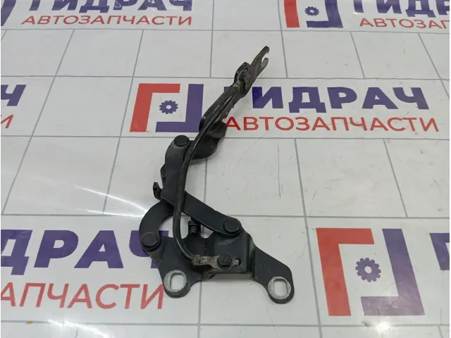 Петля капота левая BMW 1-Series (E87) 41617210673