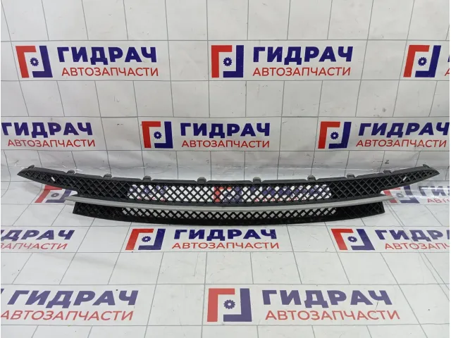 Решетка в бампер центральная BMW 1-Series (E87) 51117166605