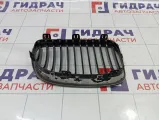 Решетка радиатора левая BMW 1-Series (E87) 51137166440