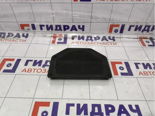 Решетка динамика BMW 1-Series (E87) 6925328