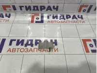 Плафон салонный BMW 1-Series (E87) 63318364920