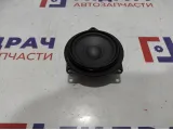Динамик BMW 6 (F13) 65139175697.