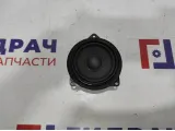 Динамик BMW 6 (F13) 65139175697.