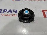 Динамик BMW 6 (F13) 65139175697.